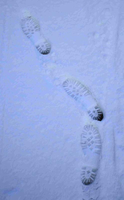 Snowy_Weather_Feb_09 (10)
